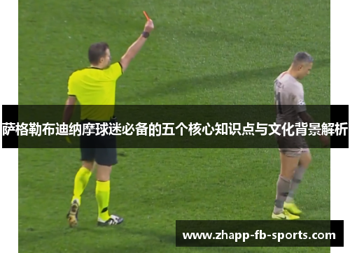 萨格勒布迪纳摩球迷必备的五个核心知识点与文化背景解析