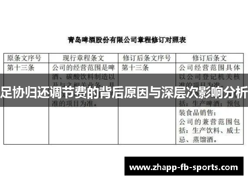 足协归还调节费的背后原因与深层次影响分析